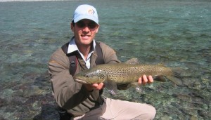 Wild Brown Trout, New Zealand South Island