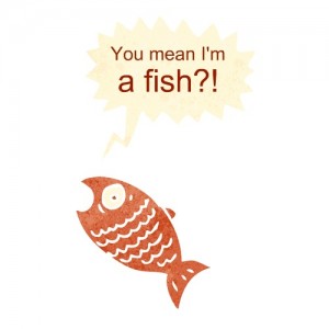 Fish memory