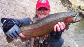 Allison G, Montana