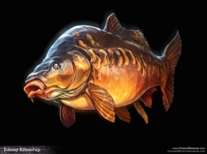 Mirror carp illustration