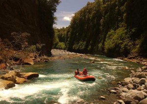Guided trout fishing New Zealand North Island landscape