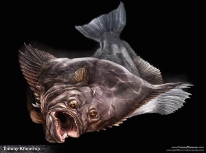 Halibut illustration