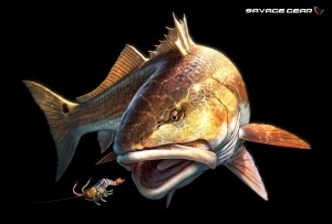 Redfish_tommykinnerup