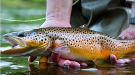 Randy Riksen Fly Fishing Photography