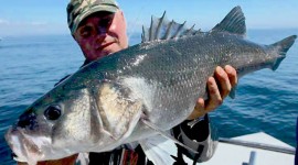 UK Bass Fishing