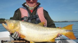 32lb golden dorado La Zona Argentina