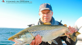 Trout-Fishing-in-Sweden