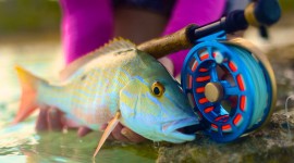Take better fishing photos