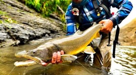 Faceless flyfishing - unusual fishing photos2