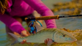 Take better fishing photos