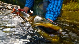 Faceless flyfishing - unusual fishing photos6