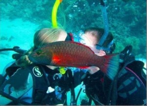 Funny fish photobomb
