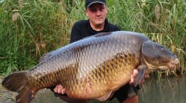 Record common carp
