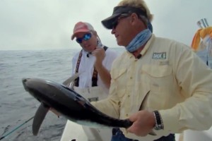 Tuna Fishing Venice Louisiana