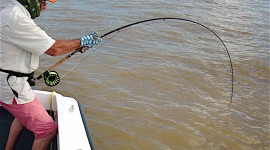 ken-dawes-tarpon-fishing-in-costa-rica